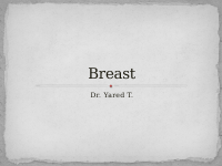 14. Breast.pdf
